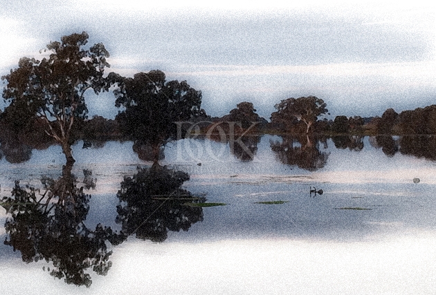 Copyright Andrew Bock. All rights protected.